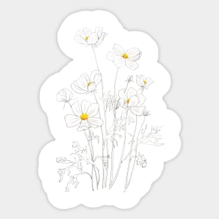 white cosmos flowers  ink and watercolor Sticker